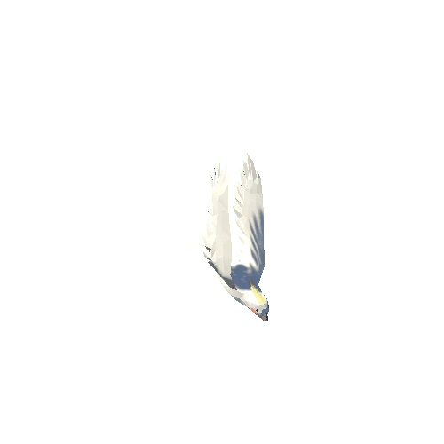 Low Poly Cockatiel 04 Variant